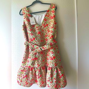 Stunning Tara Jarmon dress. Retails $495 New with Tag